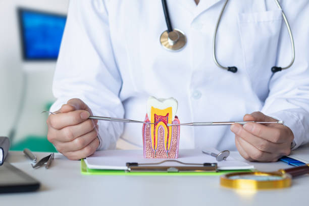 Best Emergency Orthodontic Services in Washburn, WI